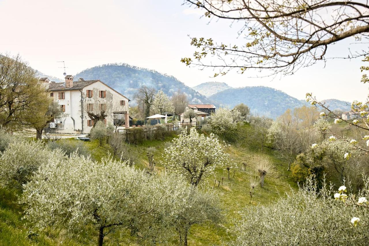 Asolo Norah'S Hill Agri Rooms Monfumo المظهر الخارجي الصورة