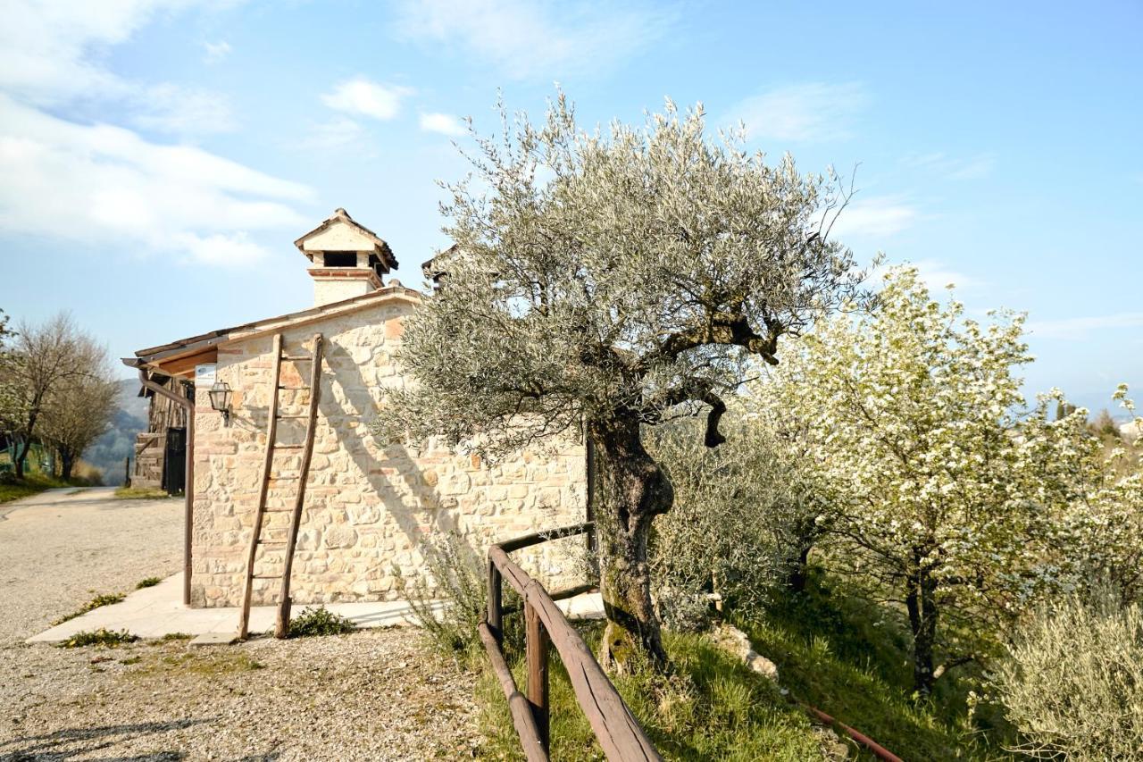 Asolo Norah'S Hill Agri Rooms Monfumo المظهر الخارجي الصورة