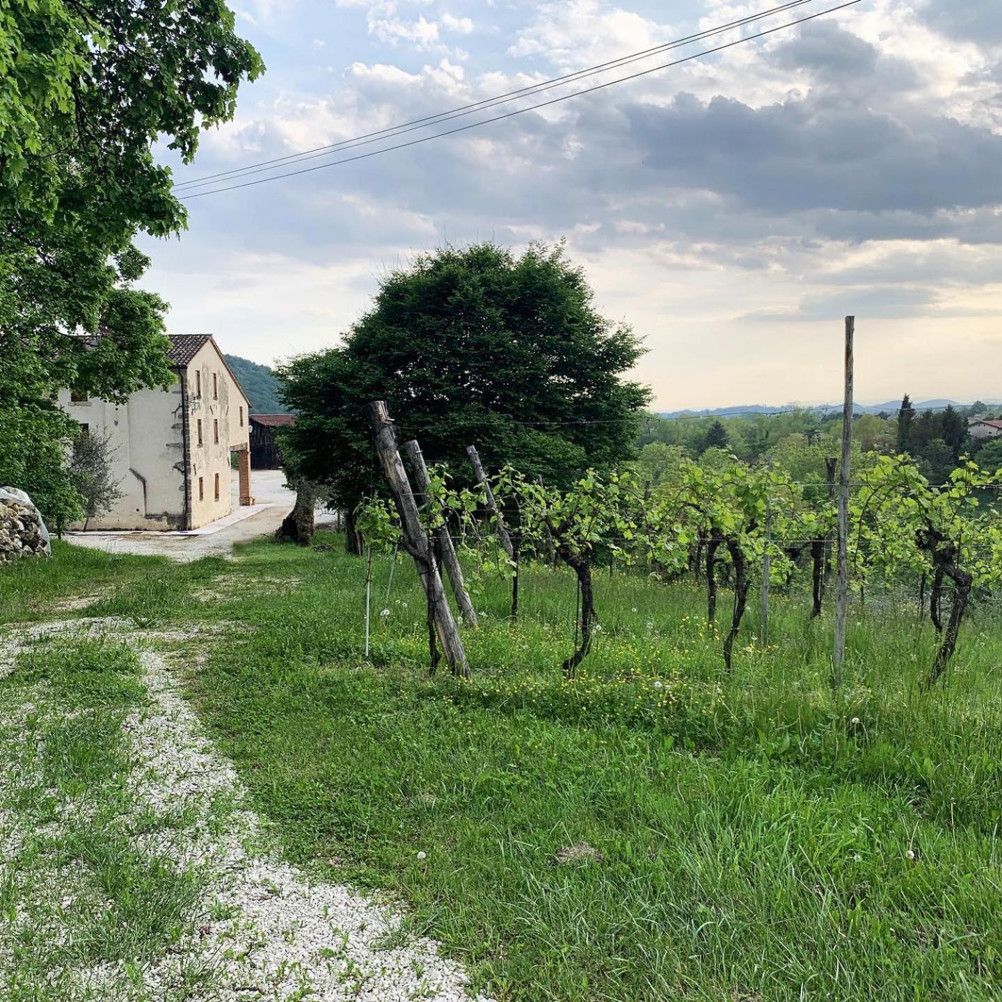 Asolo Norah'S Hill Agri Rooms Monfumo المظهر الخارجي الصورة