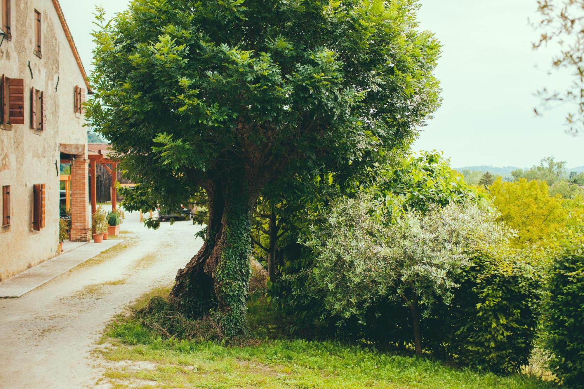 Asolo Norah'S Hill Agri Rooms Monfumo المظهر الخارجي الصورة