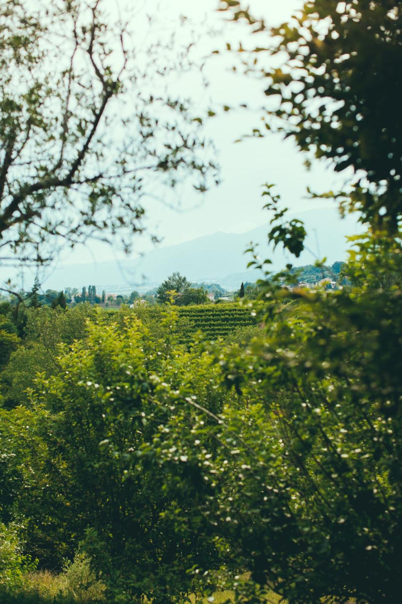Asolo Norah'S Hill Agri Rooms Monfumo المظهر الخارجي الصورة